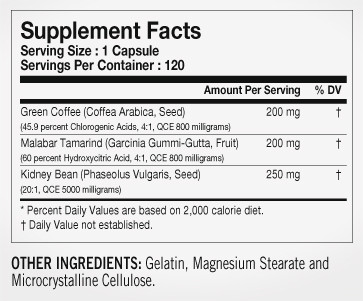TESTED BURNERS SF 120 stk 