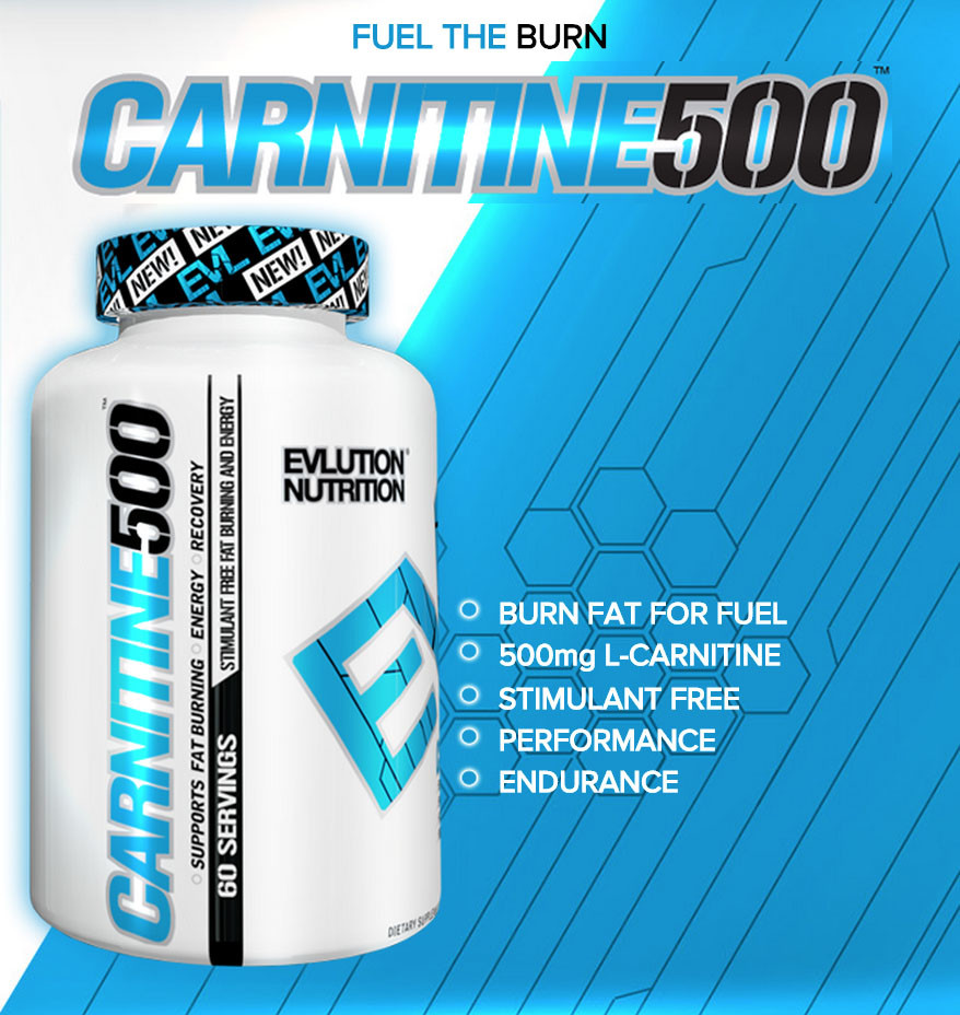 EVL NUTRITION CARNITINE 500, 60 stk 