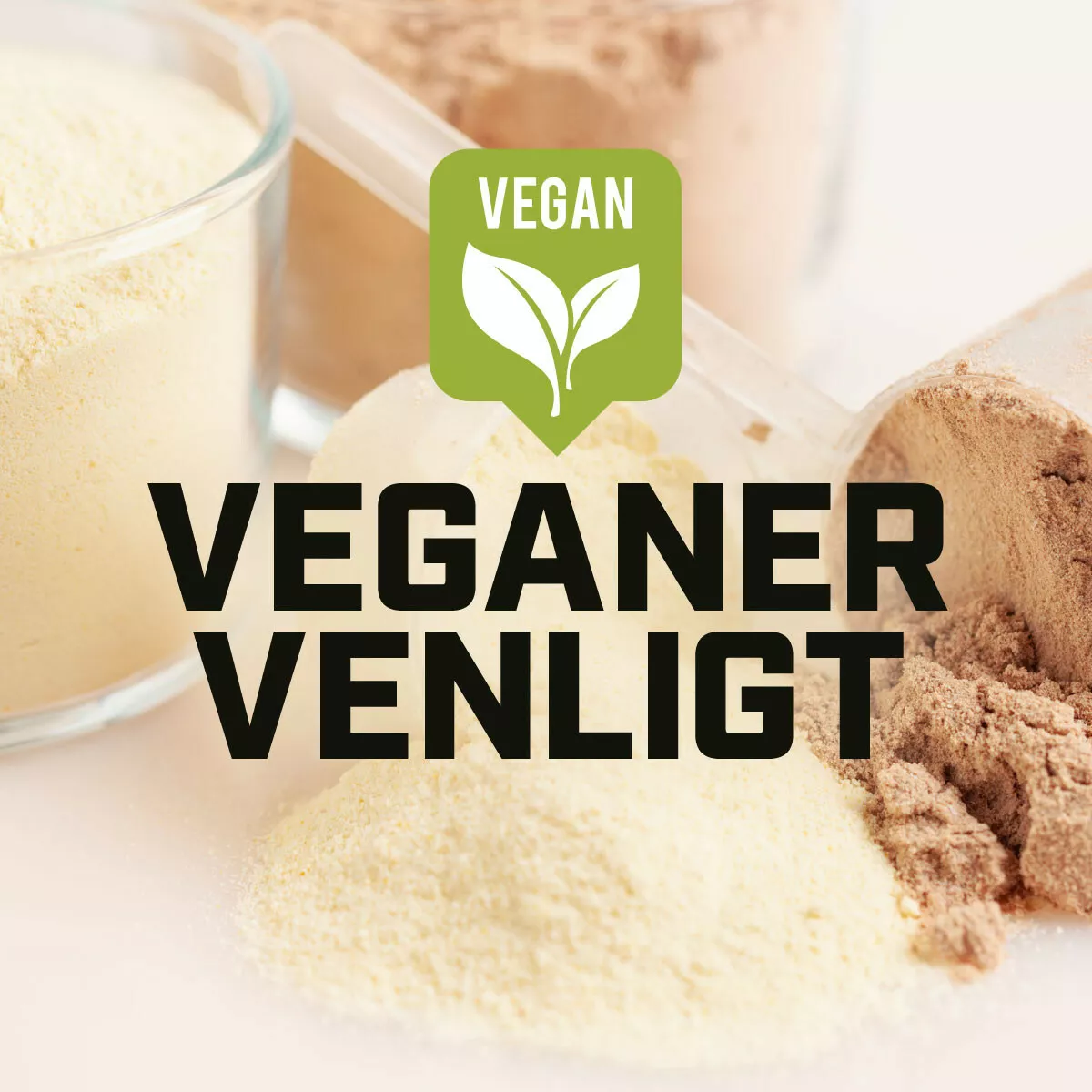 Vegansk proteinpulver (1 kg)