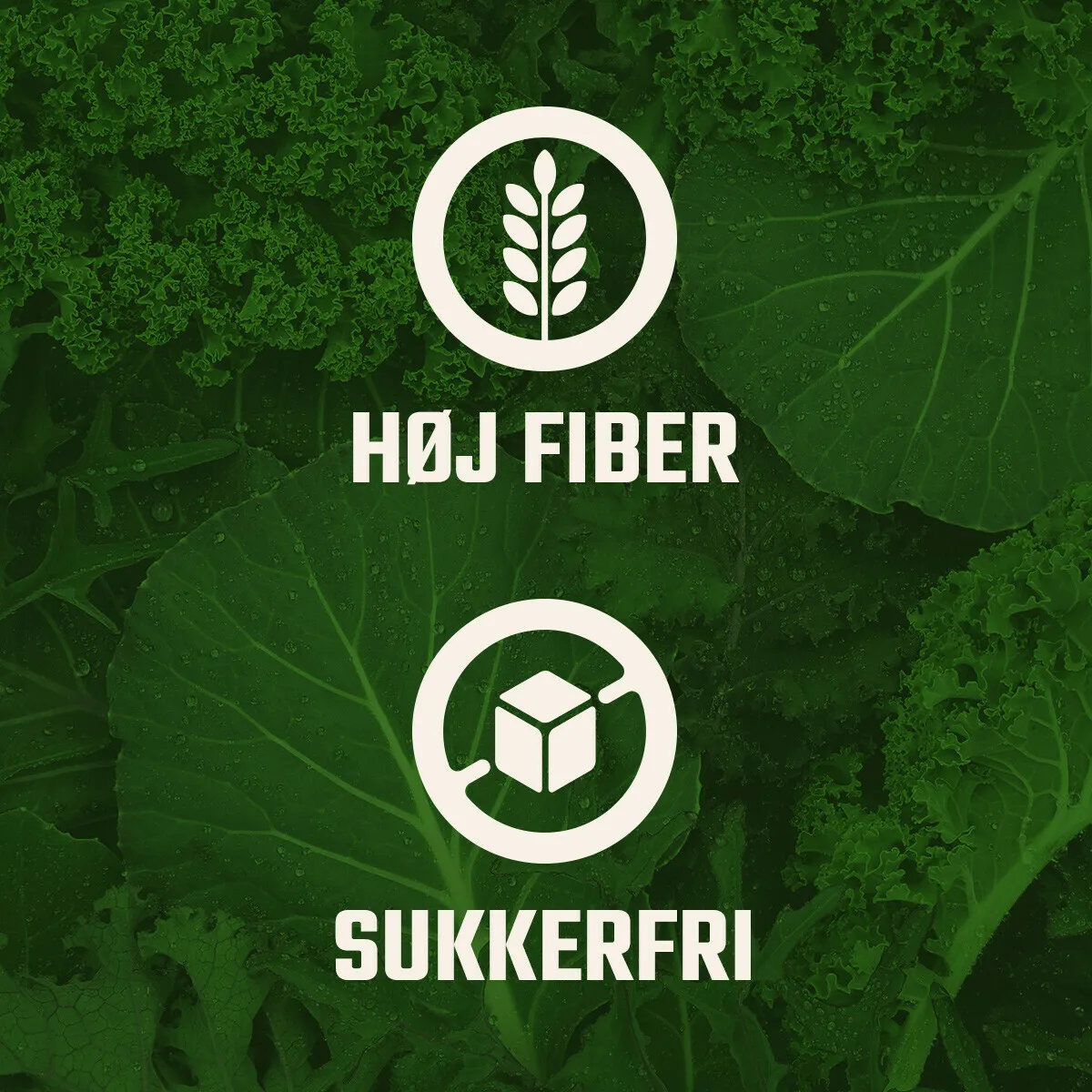 FITNESSNORD SUPER GREENS BLEND - BUY 1 GET 1 FREE