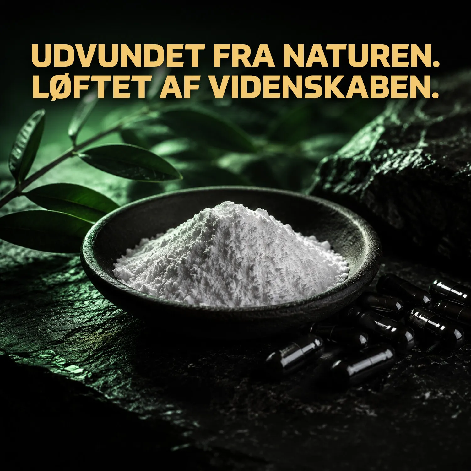 Fitnessnord NAC (100 kapsler)