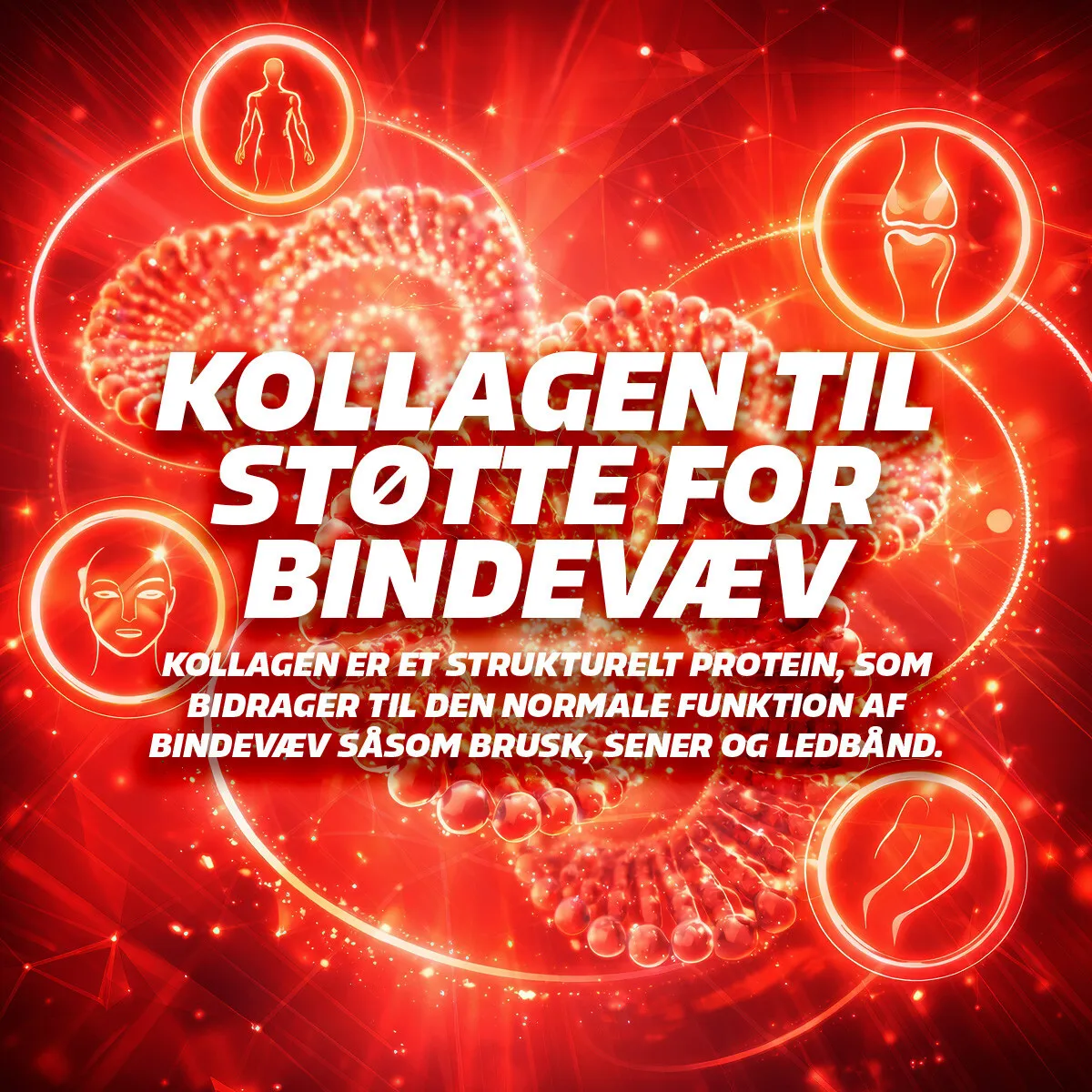 Fitnessnord Kreatin+ med Kollagen (270 g) - Red Fruit