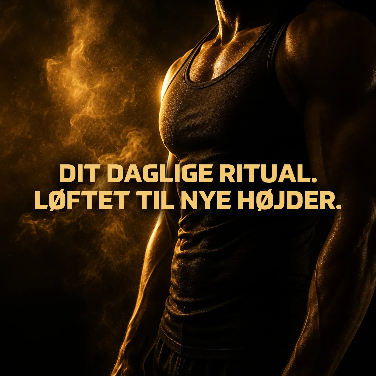 Fitnessnord CLA (100 softgels)