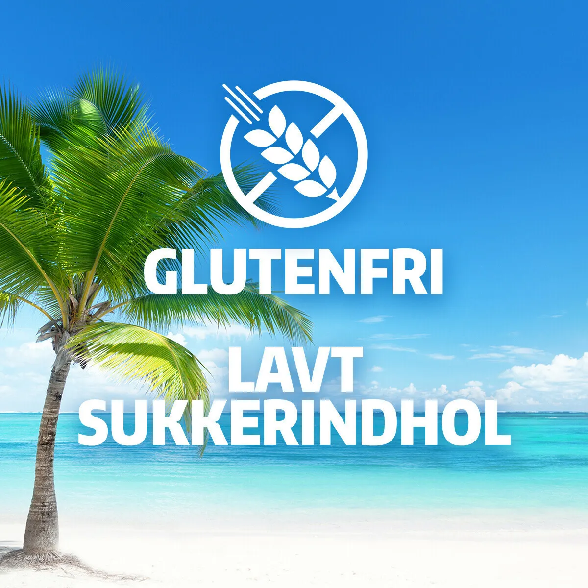 Coconut Dream bar med 35% protein (12 x 35 g)