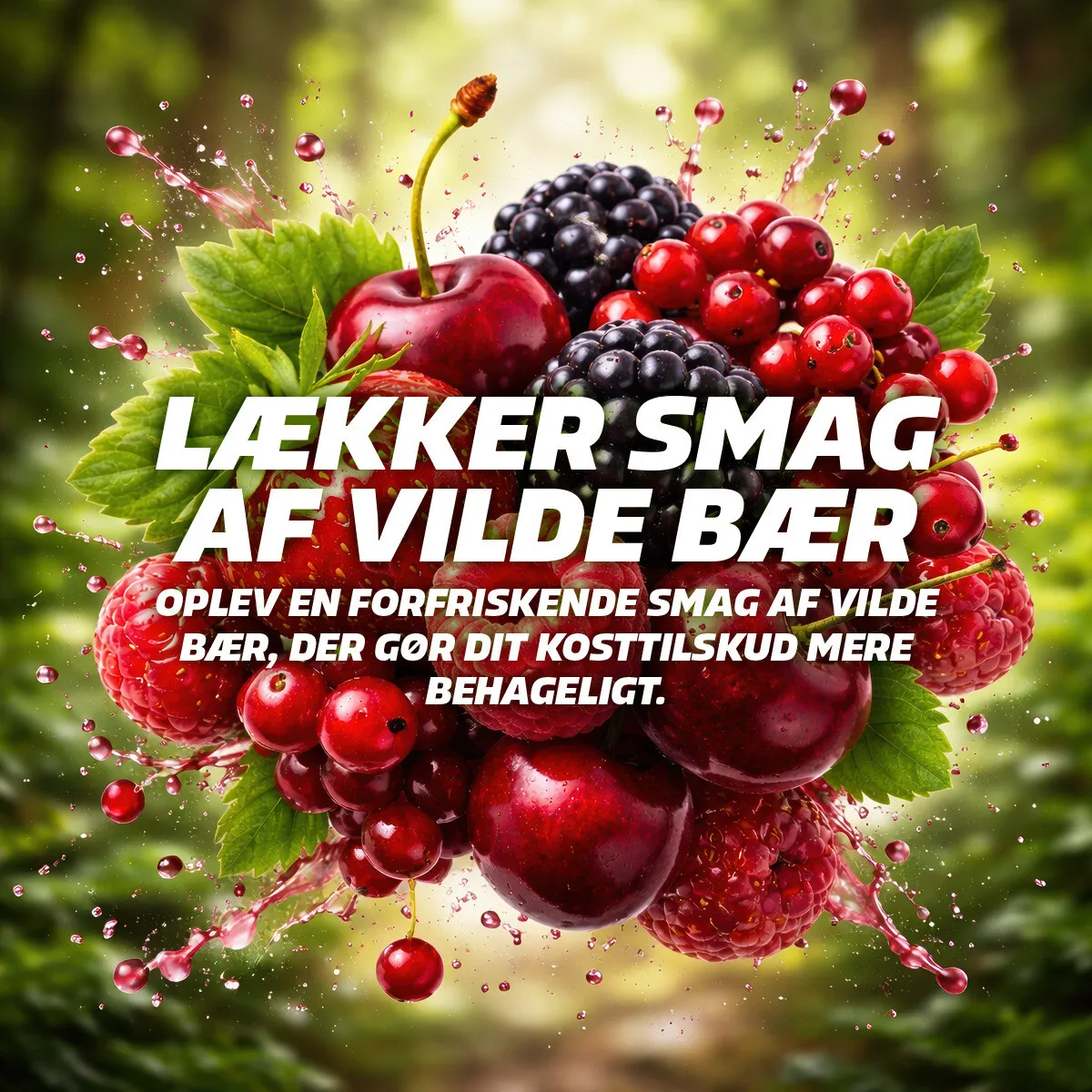 Fitnessnord Kreatin+ Elektrolytter (360 g) - Wildberry