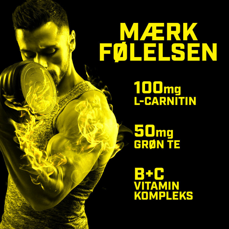 Ripped pre-workout (50 portioner)