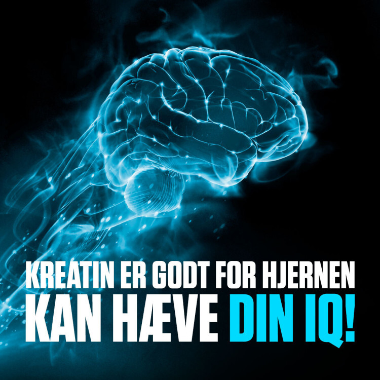 Kreatin (90 kapsler)