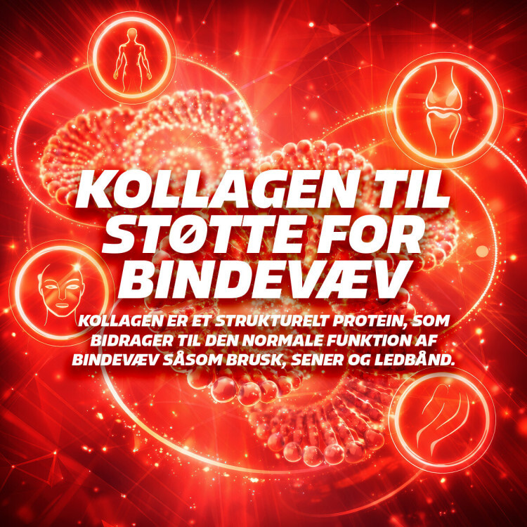 Fitnessnord Kreatin+ med Kollagen (270 g) - Red Fruit