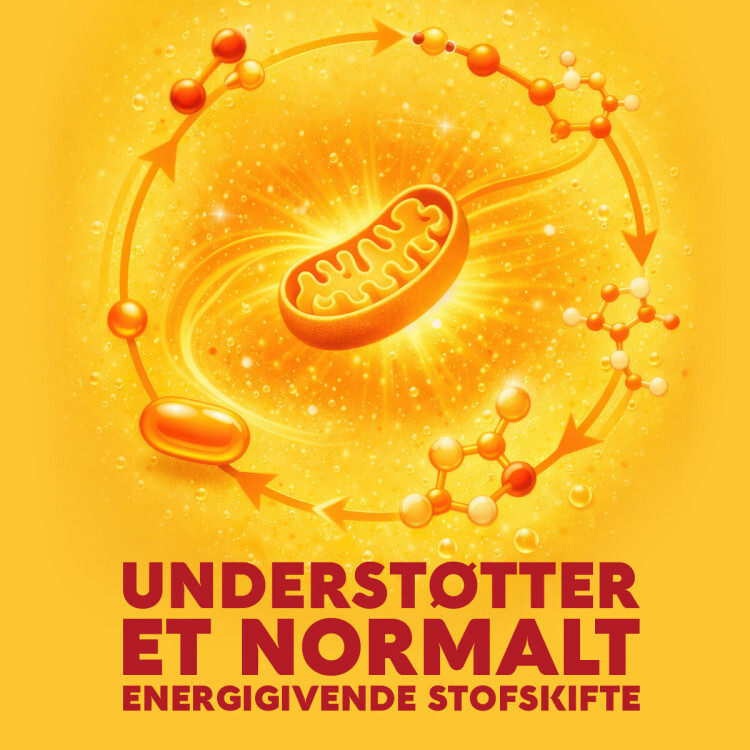 Vitamin C 1000 mg Brusetabletter (10 tabs)