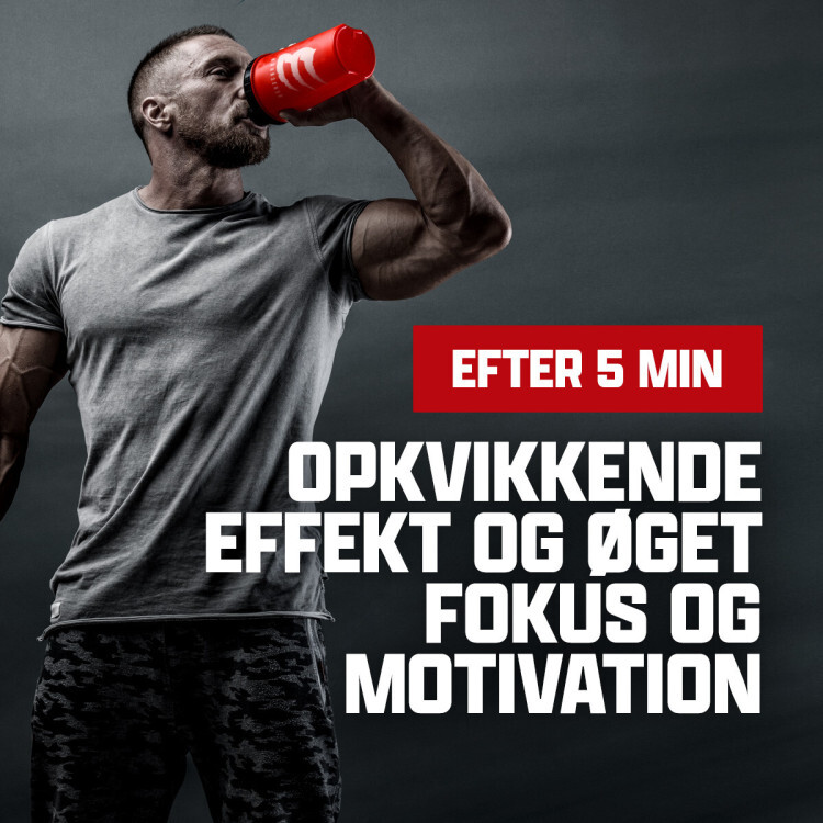 Berserker pre-workout (40 portioner)