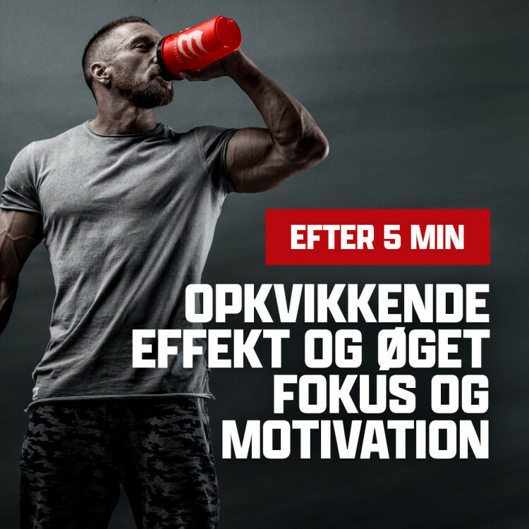 Berserker pre-workout (4 x 40 portioner)