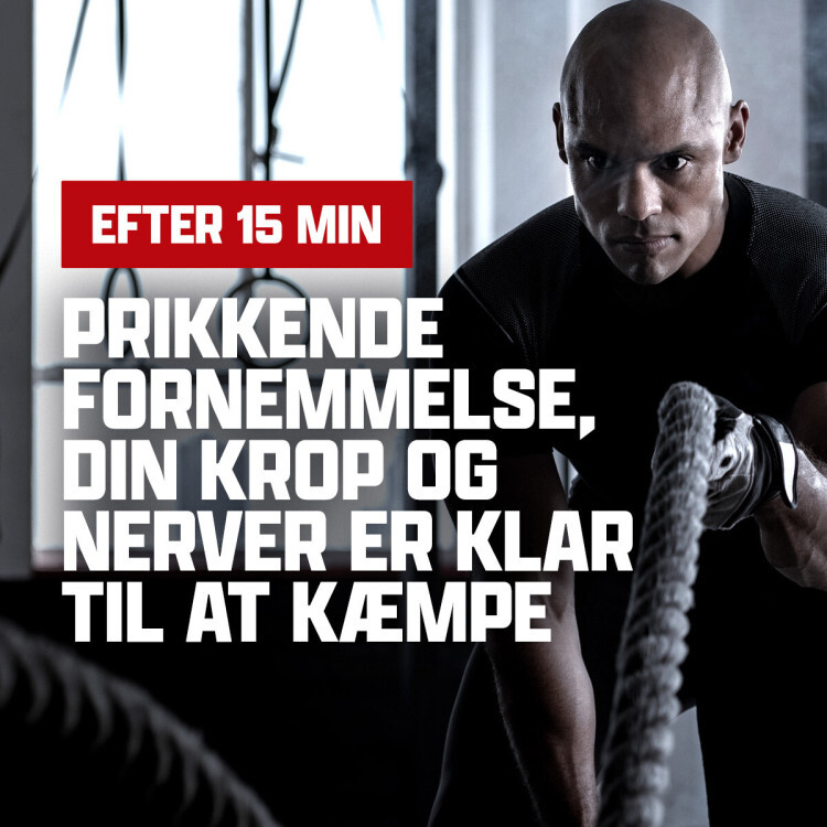 Berserker pre-workout (40 portioner)