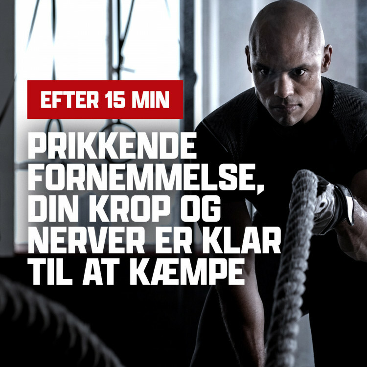 Berserker pre-workout (4 x 40 portioner)