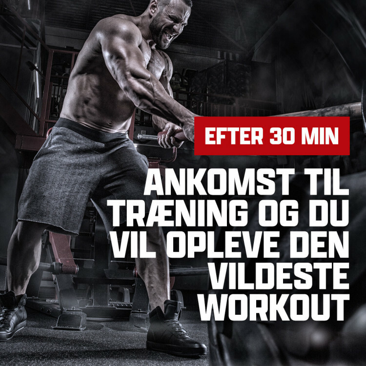 Berserker pre-workout (4 x 40 portioner)