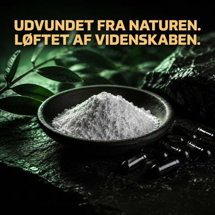 Fitnessnord NAC (100 kapsler)
