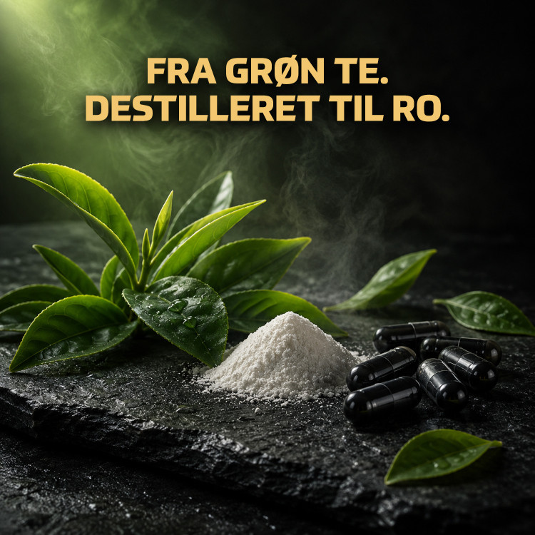 Fitnessnord L-Theanine 200 mg (120 kapsler)