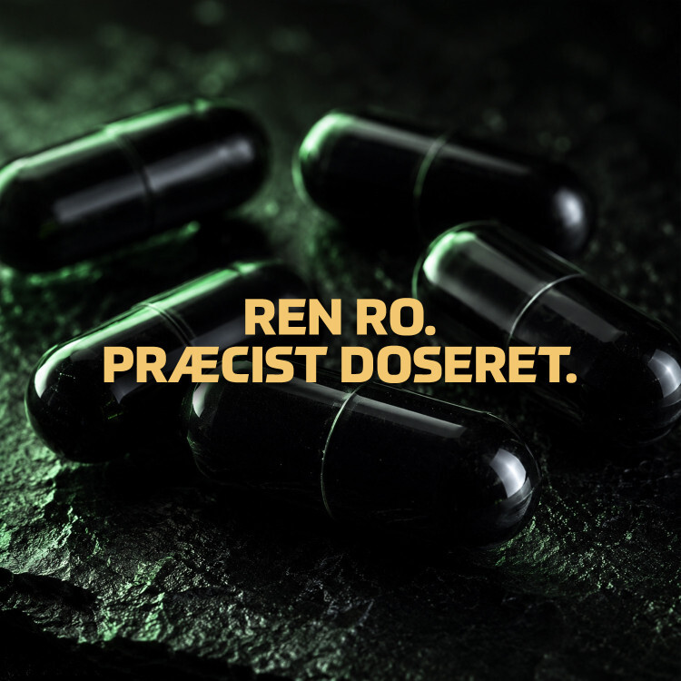 Fitnessnord L-Theanine 200 mg (120 kapsler)