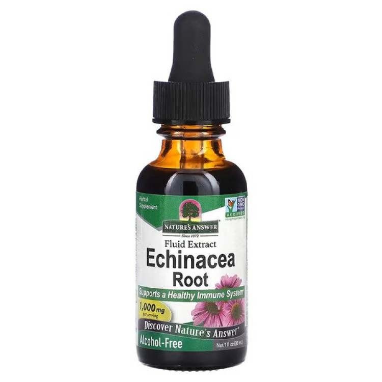Nature's Answer Echinacea Rod, 1000 mg, 30 ml