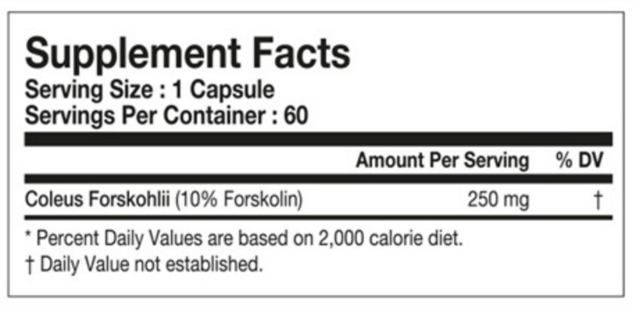 TESTED COLEUS 60 stk 