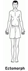 Ectomorph