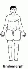 endomorph