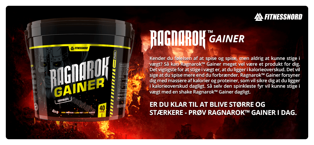 FITNESSNORD RAGNAROK GAINER 4000 g 