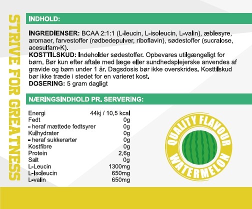 IN2ZYM 100% VEGAN BCAA 2:1:1 300 g 