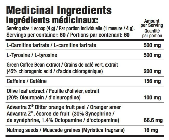 INTERACTIVE NUTRITION MAMMOTH BURN 60 portioner 