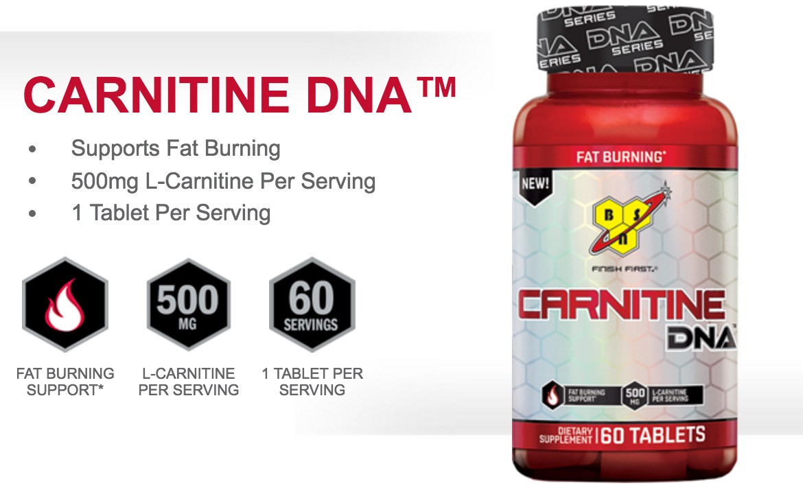 BSN DNA CARNITINE 60 stk 