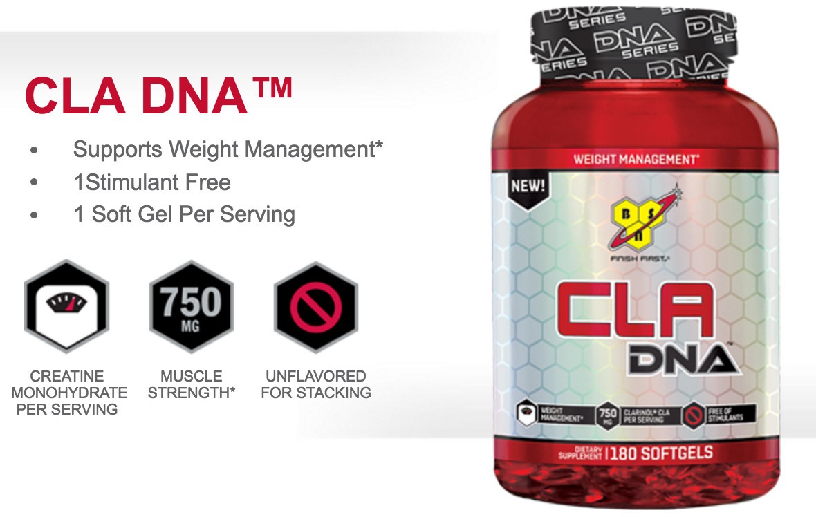 BSN DNA CLA 90 stk 