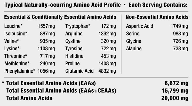 ULTIMATE NUTRITION PROTEIN ISOLATE 2, 908 g 