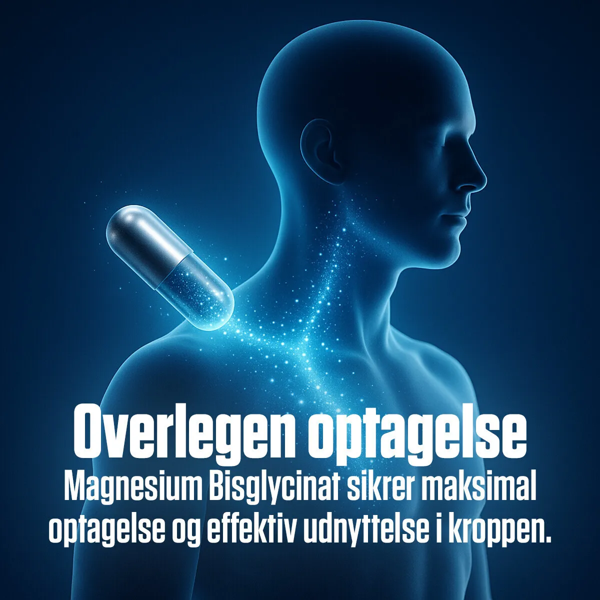 Magnesium Bisglycinat – 125 mg (90 veganske kapsler)
