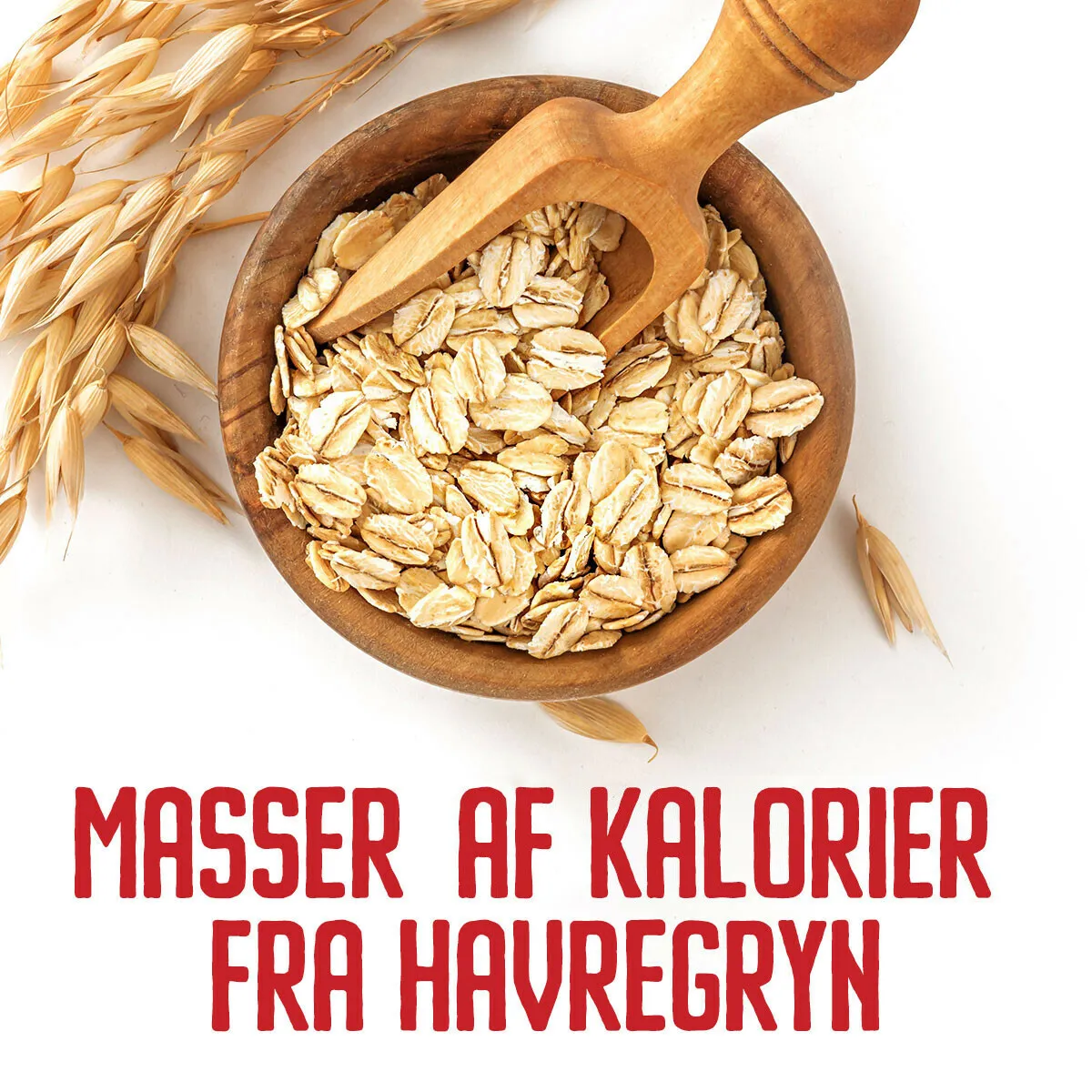 Gainer med 13% protein (4 kg)