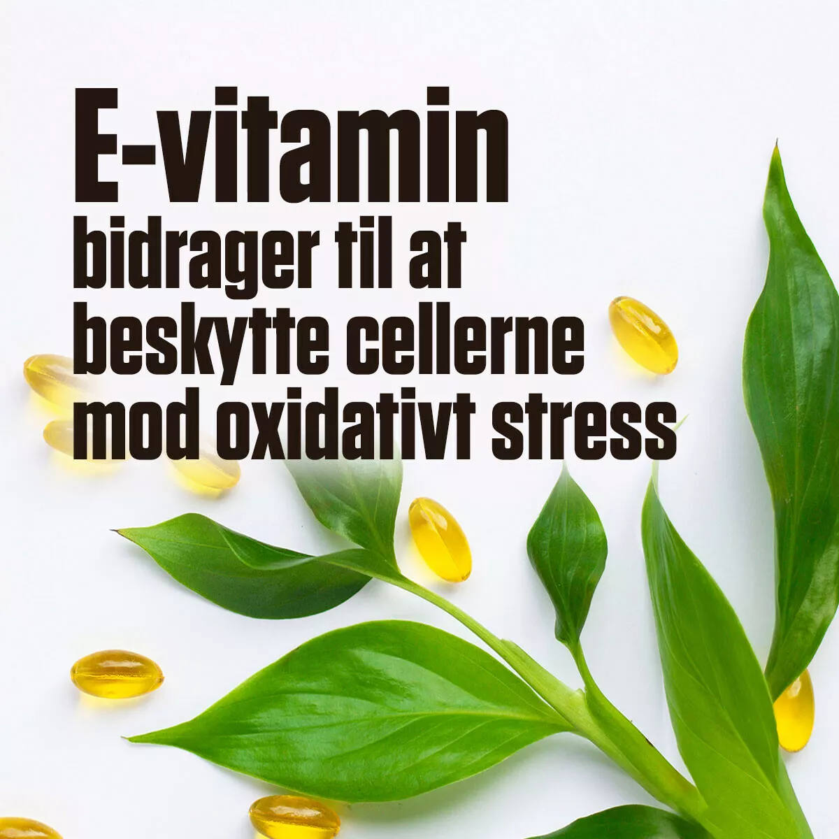 E-vitamin (100 kapslar)