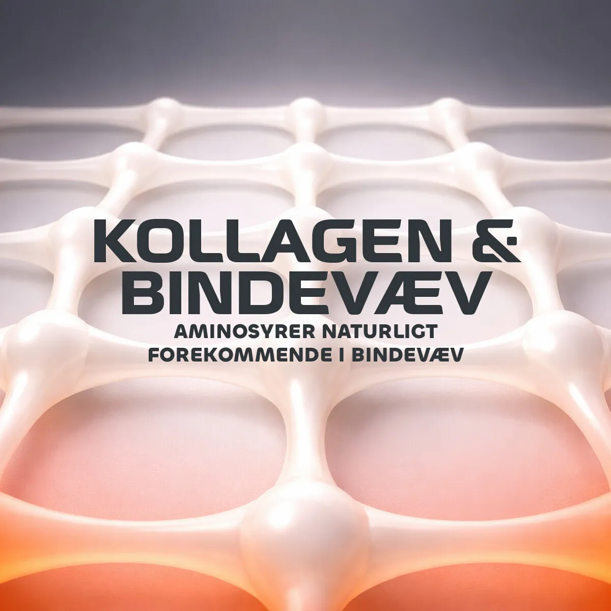 Fitnessnord Ledkompleks – Kollagen, Glucosamin & MSM (Appelsin)