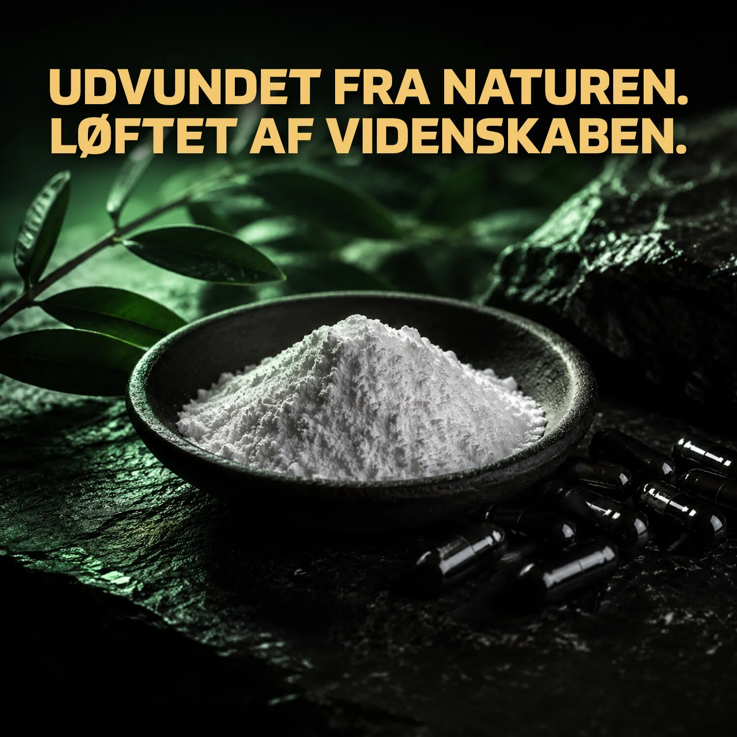 Fitnessnord NAC (100 kapsler)