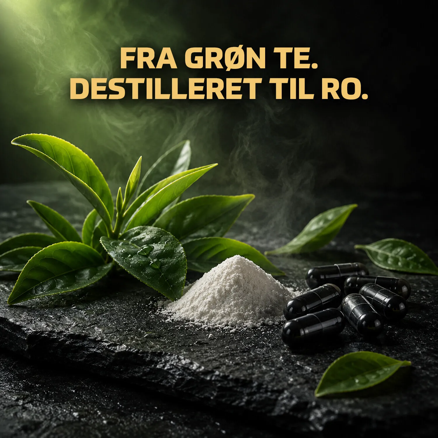 Fitnessnord L-Theanine 200 mg (120 kapsler)