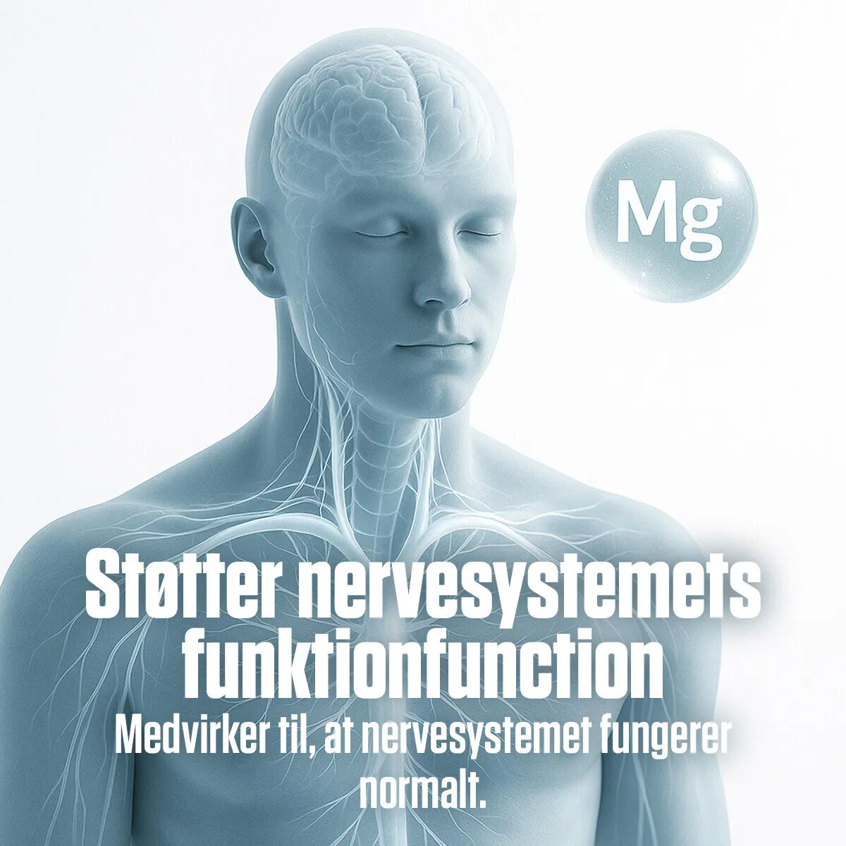 Magnesium Bisglycinat – 125 mg (90 veganske kapsler)