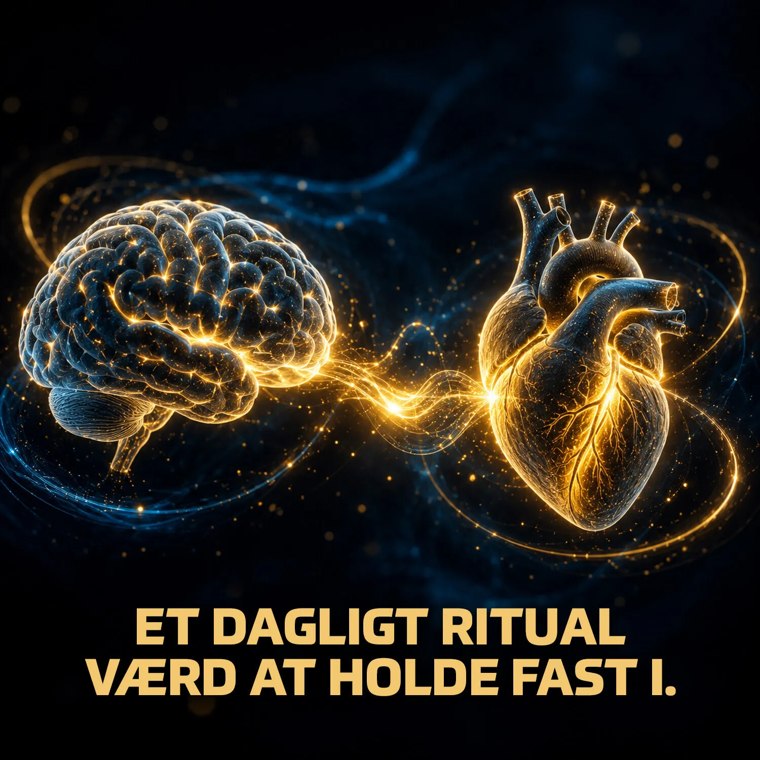 Fitnessnord Omega-3 (90 softgels)
