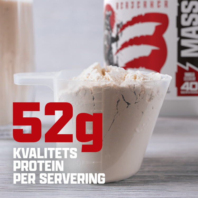 Berserker Gainer med 21% protein (3 kg)