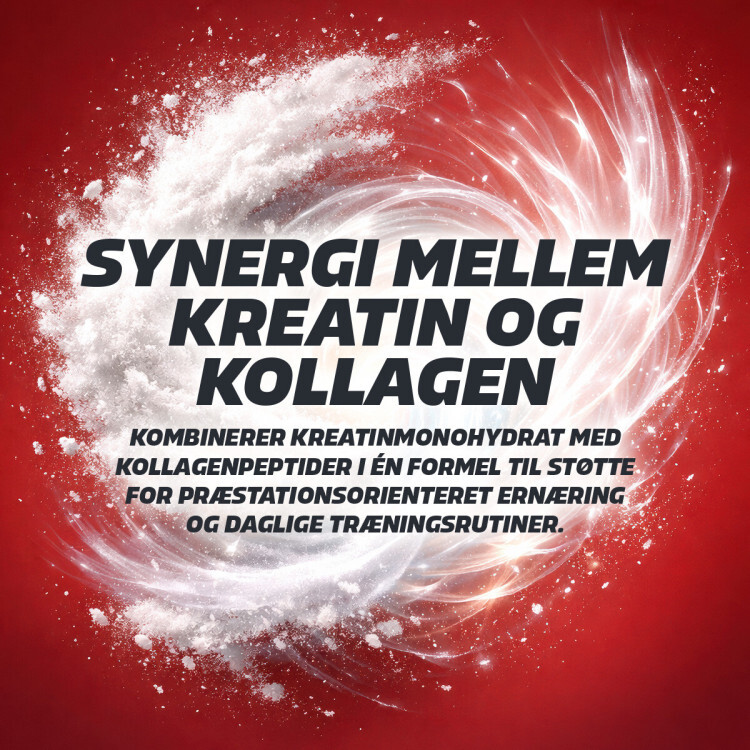 Fitnessnord Kreatin+ med Kollagen (270 g) - Red Fruit