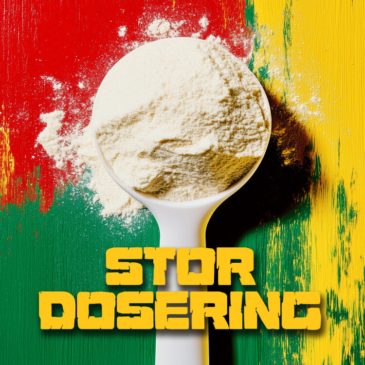 Roar pre-workout (450 g)