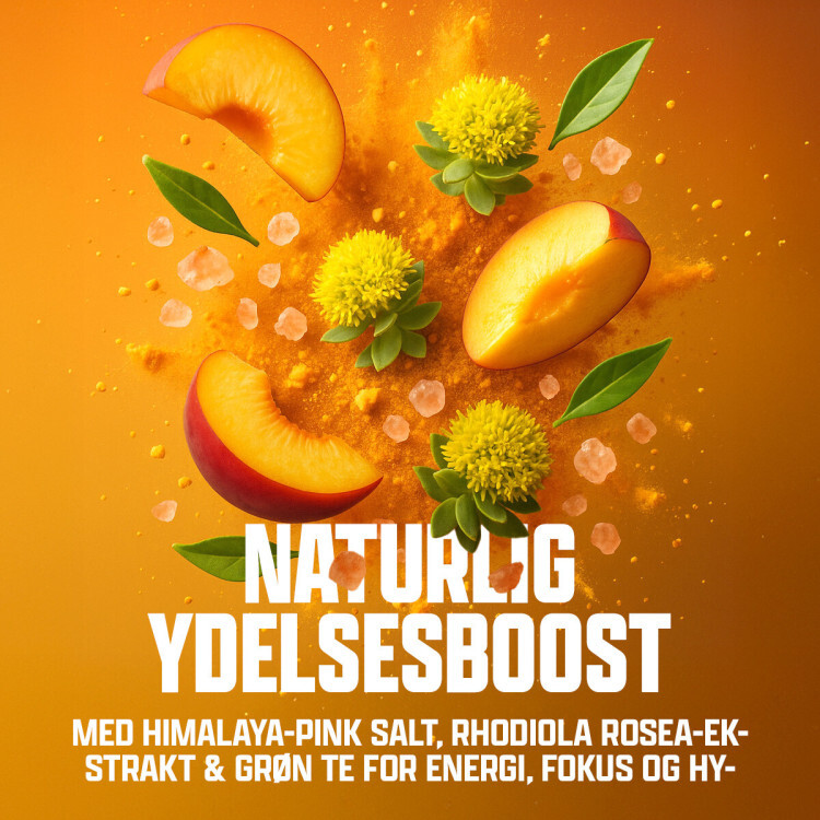 Fitnessnord Pre-Workout – Peach Ice Tea (30 portioner)