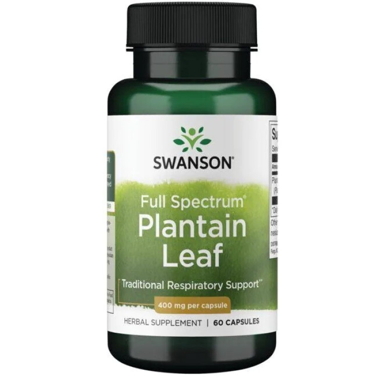 Swanson Fullt Spektrum Groblad Blad, 400 mg, 60 kapslar