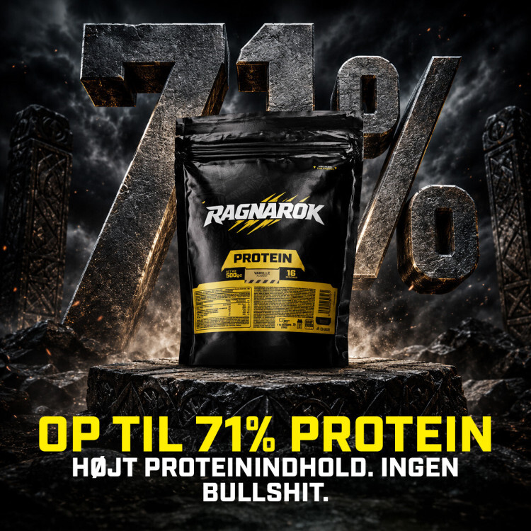 Ragnarok Proteinpulver (500 g)