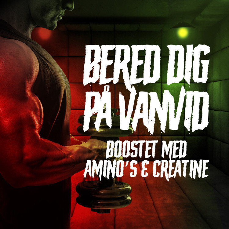 Schizo pre-workout (40 portioner)